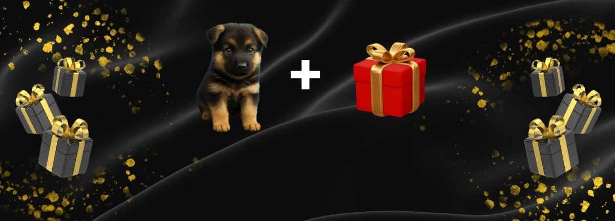 Interactieve Robot Puppy met Realistische Bewegingen voor Speels Plezier