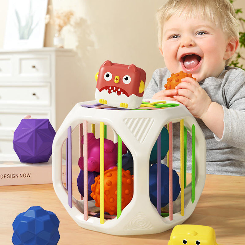 ShapePlay Baby Ontdekkingskubus™ – spelenderwijs leren en ontdekken | TIJDELIJK 50% KORTING