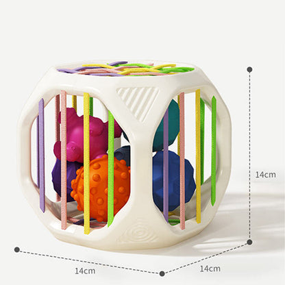 ShapePlay Baby Ontdekkingskubus™ – spelenderwijs leren en ontdekken | TIJDELIJK 50% KORTING